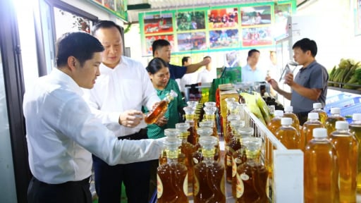 
Nông thôn mới Hòa Bình: Bứt phá trên nền tảng vững chắc - Hành trình kiến tạo chất lượng sống