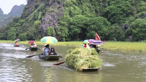 Cánh đồng lúa đẹp bậc nhất Việt Nam ở Ninh Bình đang vào mùa gặt, dân tình đứng trên núi tha hồ chụp ảnh, quay phim