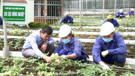 Lạ đời Chi cục Nông nghiệp Kon Tum lập Đoàn kiểm tra quy trình ký, cấp chứng nhận của chính mình (?)
