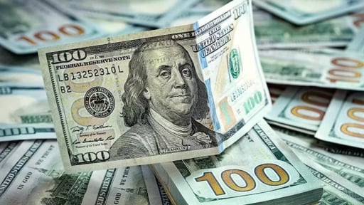 Giá USD hôm nay 11/6: Trong nước đồng loạt lao dốc