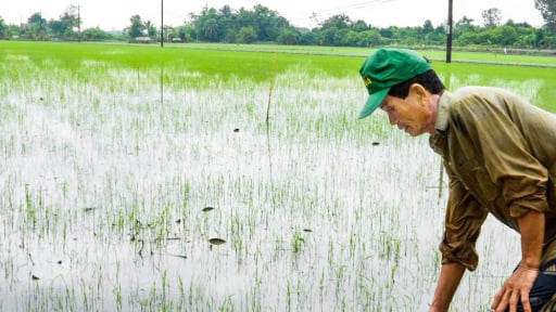 Gió chướng nhường hướng cho gió mùa Tây Nam, khi nào miền Tây, trong đó có Vĩnh Long đi vào mùa mưa?