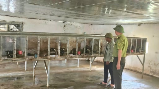 Giảm nghèo Quảng Bình: Nông dân ở huyện có diện tích lớn thứ 3 cả nước khấm khá nhờ nuôi con động vật hoang dã