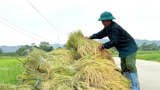 Đây, một vùng đất trù phú bậc nhất đất Tuyên Quang, nơi từng đặt xưởng in tiền, trước giờ sáp nhập, bỏ cấp huyện