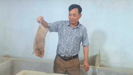 'Vua dúi' đất Sơn La chia sẻ bí kíp 'tác thành' cho đôi dúi, cho ở chung khi nào thấy chúng bất hòa là thành công