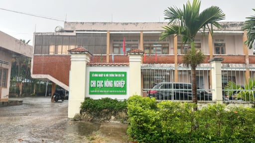 Chi cục Nông nghiệp Kon Tum tự điểm mặt sai sót và sửa sai vụ cấp mã vùng trồng sâm Ngọc linh 