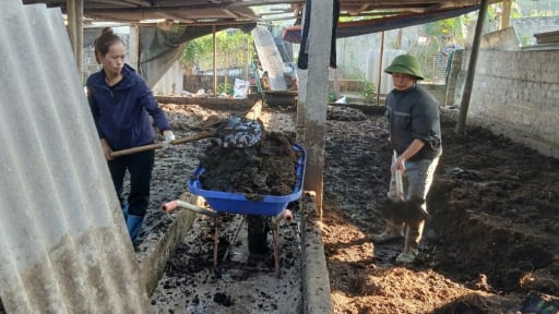Nông dân Tuyên Quang chung tay xử lý phụ phẩm, rác thải chăn nuôi, bảo vệ môi trường nông thôn