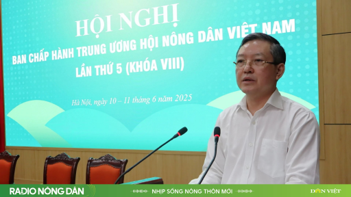 Nhịp sống nông thôn mới ngày 13/6/2025