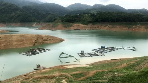 Ngày nào dân lòng hồ thủy điện Hòa Bình cũng phải đưa lồng cá di chuyển mà vẫn nớp nớp lo điều gì?
