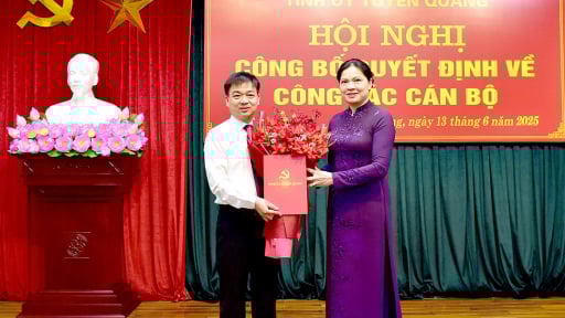 Bí thư Thành ủy Tuyên Quang làm Trưởng ban Tổ chức Tỉnh ủy