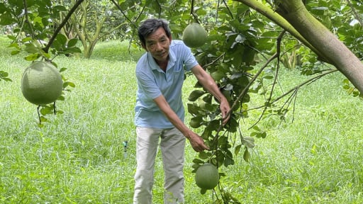 Một ông nông dân có 100ha đất trồng cây đặc sản, vậy đã là tỷ phú Bình Dương?