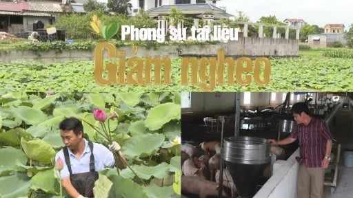 Phát triển kinh tế nông thôn từ những mô hình hiệu quả ở Bắc Giang