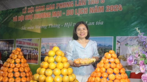 Đề án 01 của Tỉnh ủy Hòa Bình: Từ 'cú hích' chính sách đến khát vọng làm giàu của người nông dân