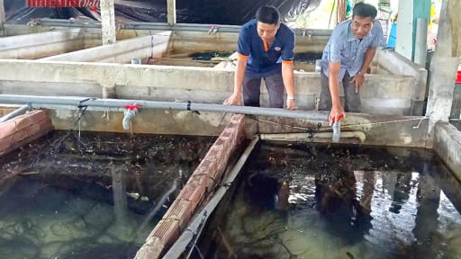 Trước ngày về thành phố mới Cần Thơ, Hậu Giang công bố một chỉ số quan trọng