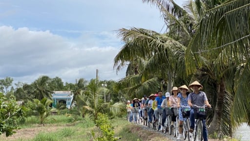 Một ngành kinh tế đang 'hot' của Trà Vinh vẫn đóng góp lớn vào tỉnh mới Vĩnh Long sau sáp nhập 3 tỉnh, gồm cả Bến Tre