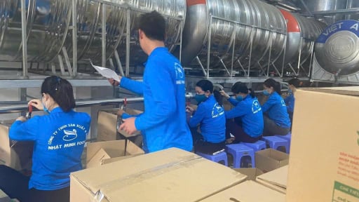 Mánh khóe gian lận ở thị trường dầu ăn: Bất ngờ với nơi sản xuất dầu ăn “chất lượng vàng” (Bài 2)