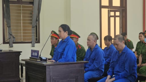 Lừa bán đất ở Long An 1 tỷ đồng, 5 bị cáo lãnh 67 năm  tù
