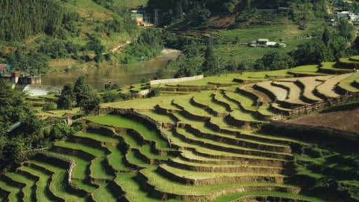 Tỉnh mới Lào Cai sở hữu điểm đến khiến dân phượt mê như điếu đổ, đẹp mê mẩn như tranh thủy mặc