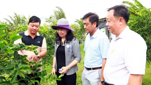 Tỉnh mới tên Vĩnh Long sau sáp nhập Trà Vinh, Bến Tre có một ấp nông thôn mới kiểu mẫu, văn minh và hiện đại thế này đây