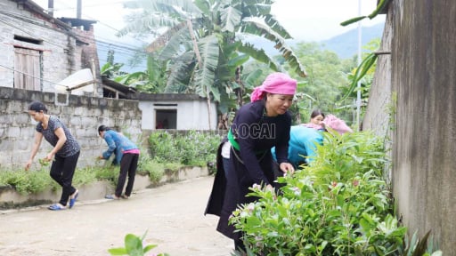 Trước giờ sáp nhập với Yên Bái, 50 xã của Lào Cai hoàn thành 1 tiêu chí khó, chị em người Mông, Dao tỉ mẩn chăm chút 700km đường hoa