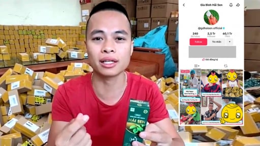 Chủ kênh TikTok “Gia đình Hải Sen” bị bắt, có thể bị xử lý thế nào?