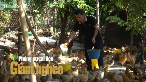 Quảng Ninh: Ba Chẽ đa dạng hóa mô hình sản xuất, tiến tới giảm nghèo bền vững