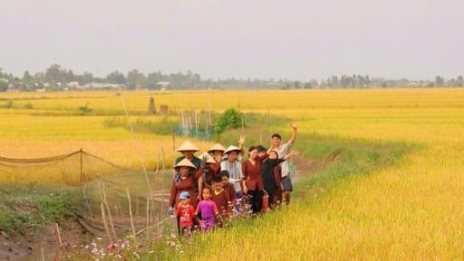 Câu chuyện dòng sông: Gợi mở tư duy vận hành chính quyền 2 cấp ở tỉnh Đồng Tháp