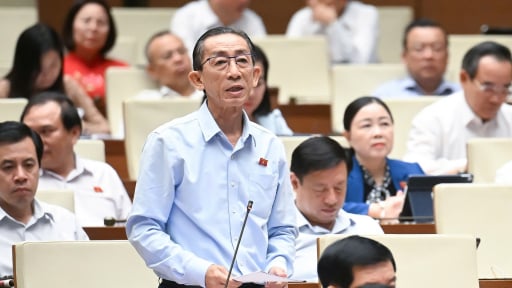  Đại biểu nêu điểm then chốt giúp nông nghiệp Việt đủ tầm “lo ăn” cho 100 triệu dân và 8 tỷ người trên thế giới