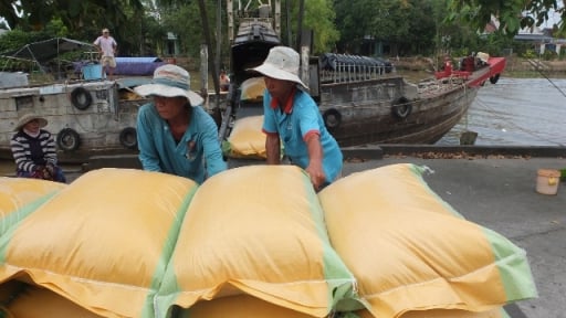 Trước giờ về 'chung nhà' với Tiền Giang, xuất khẩu hàng hóa của Đồng Tháp tăng tốt, quan trọng nhất là thị trường Hoa Kỳ