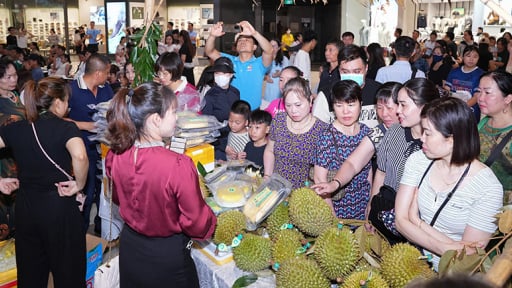 Trước giờ sáp nhập tỉnh Hậu Giang, Sóc Trăng, Cần Thơ bắt tay với một thành phố hơn 60 tuổi, bán loại quả ngon