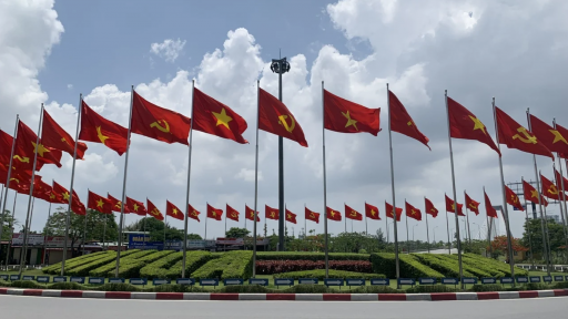 Việt Nam sẵn sàng tham gia huy động nguồn lực để thúc đẩy các ưu tiên của BRICS