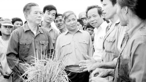 Tiếng nói của nông dân và những bài báo làm rung chuyển chính sách
