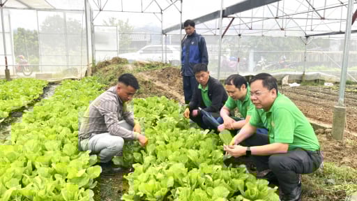 Tiến sĩ Dương Đình Đức, kiến tạo cầu nối khoa học với nhà nông ở Lai Châu, leo đồi, lội ao là bình thường