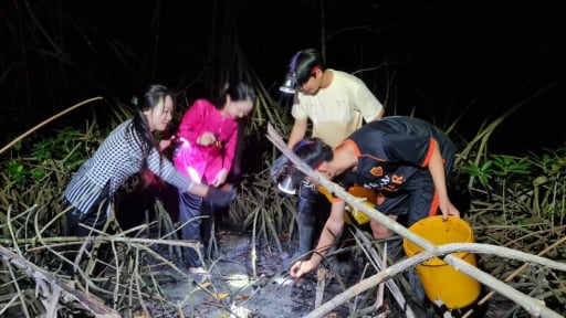 Đêm tối lội vô một khu rừng nổi tiếng Cà Mau bắt con tên mắc cười, 10 người vào 10 người vui