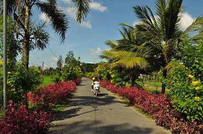 Giờ sáp nhập Cần Thơ, Hậu Giang đang đến gần, Sóc Trăng có các tuyến đường hoa nông thôn mới đẹp mê ly thế này đây