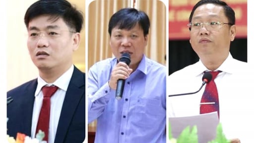 Quảng Ngãi: Những Tỉnh uỷ viên, Phó Giám đốc Sở dự kiến làm Bí thư xã mới