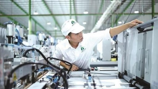 Chính thức về 'chung nhà' với Hải Phòng, Hải Dương 'mang theo một gia tài' xanh quan trọng