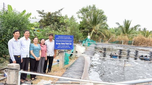 Sáp nhập tỉnh Hậu Giang, Cần Thơ, Sóc Trăng đang thực hiện một đề án quan trọng liên quan đến con tôm