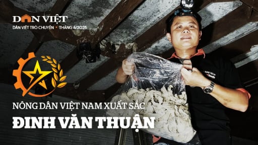 Nông dân Việt Nam xuất sắc Đinh Văn Thuận - người từ bỏ 'thế giới số' và bén duyên với đàn chim yến