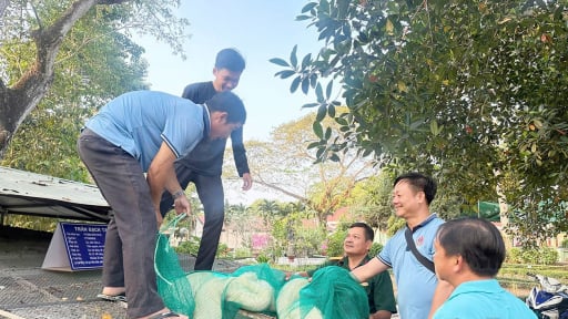 Cận kề giờ sáp nhập tỉnh Đồng Tháp, ở Tiền Giang có một con trăn to dài, người ta đến xem