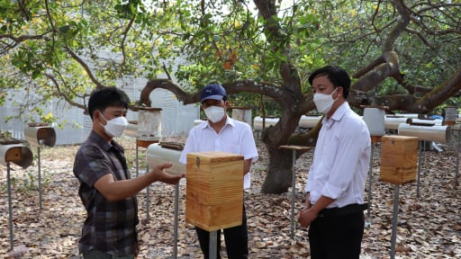 Dụ loài động vật hoang dã này vào ở trong cái tổ bé tý, một ông nông dân Bà Rịa-Vũng Tàu bất ngờ giàu lên