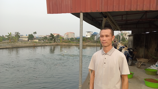6 ngày nữa là sáp nhập tỉnh Ninh Bình, Hà Nam, Nam Định có tỷ phú nuôi cá đặc sản, bán 1.300 tấn/năm