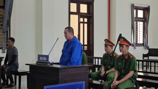 Anh trai sát hại em ruột lĩnh án