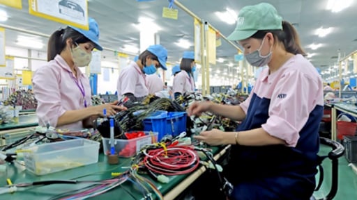 Quy định mới nhất về chế độ thai sản cho phụ nữ mang thai hộ