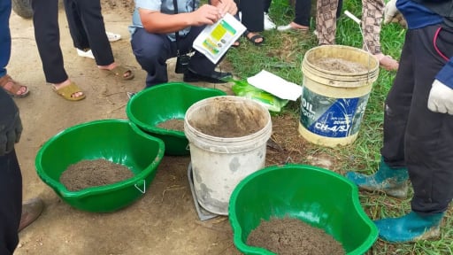 TP.Hải Phòng phát triển thử nghiệm mô hình 'cánh đồng công nghệ', ngay sát giờ chính thức sáp nhập với Hải Dương 
