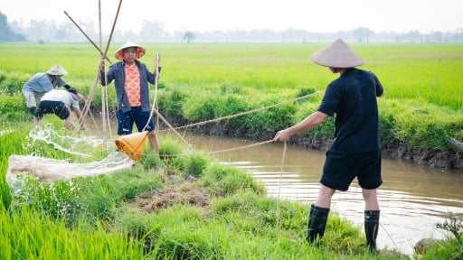 Bỏ phố về quê, lần đầu tiên dàn nghệ sĩ Trung Ruồi, Duy Hưng, Thái Hoà làm nông dân, ra đồng tát nước 