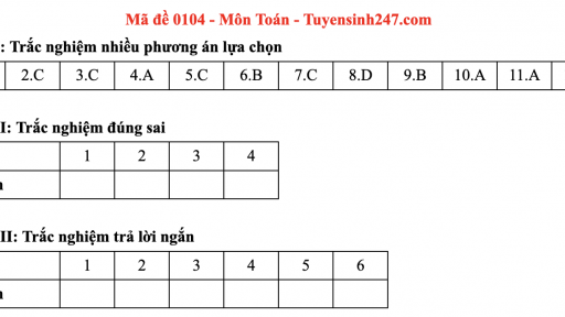 Đề thi môn Toán tốt nghiệp THPT 2025 mã đề 104 có gợi ý đáp án