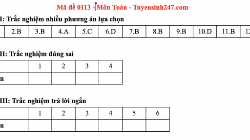 Đáp án môn Toán mã đề 113 thi tốt nghiệp THPT 2025 chương trình mới