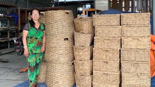 Vì sao mô hình tổ hợp tác đan lục bình ấp Cả Sáu, Tây Ninh trở thành điểm sáng?