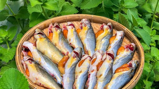 Bạc Liêu sáp nhập tỉnh Cà Mau, nơi có mùa cá đặc sản đất Mũi, trời mưa là chạy hàng đàn, bắt lên kêu éc éc
