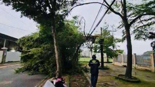 Cây xanh gãy trên đường trước một trường tiểu học ở Hóc Môn, đè đường dây điện, cản trở giao thông